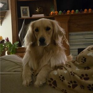 Hi I am pleased to meet you.